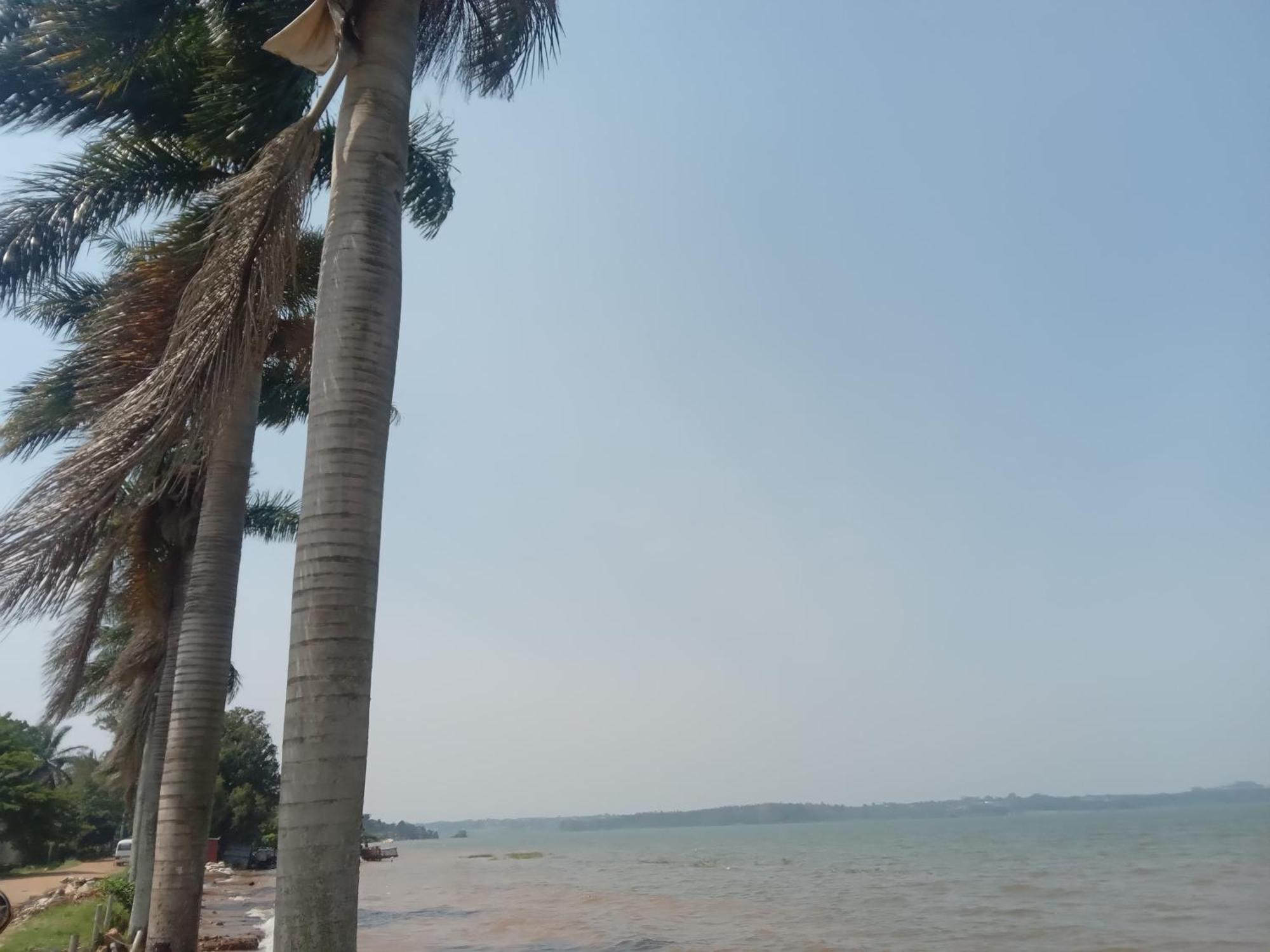 Mowicribs Hotel And Spa 恩德培 外观 照片